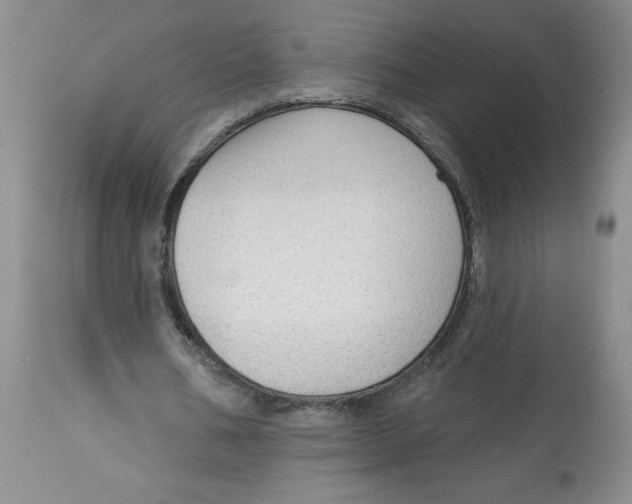 X0000113130578200909251242