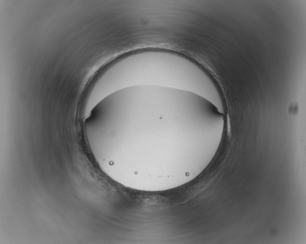 X0000113130579200909251242