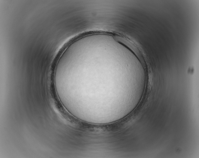 X0000113130580200909251242