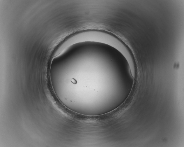 X0000113130581200909251242