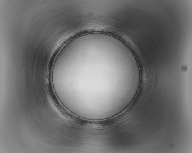 X0000113130582200909251242