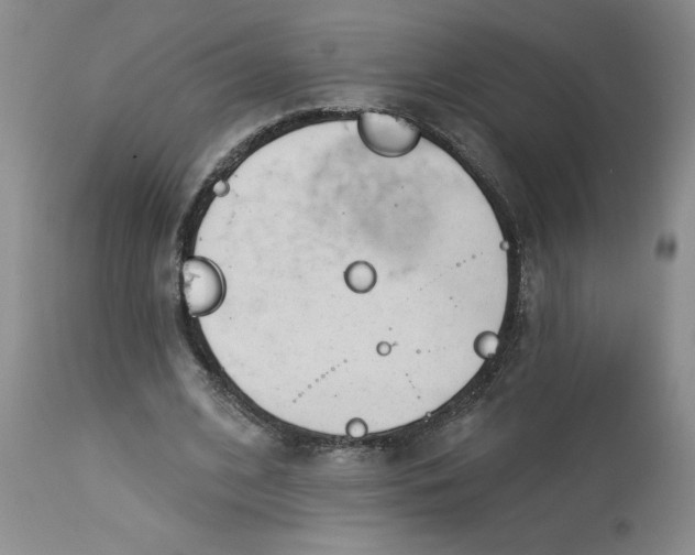 X0000113130584200909251242