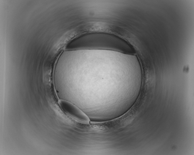 X0000113130585200909251242