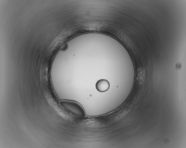 X0000113130589200909251241