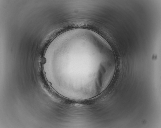 X0000113130590200909251241