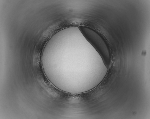 X0000113130593200909251241