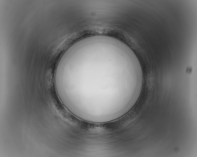 X0000113130594200909251241