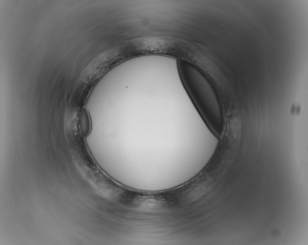 X0000113130597200909251241