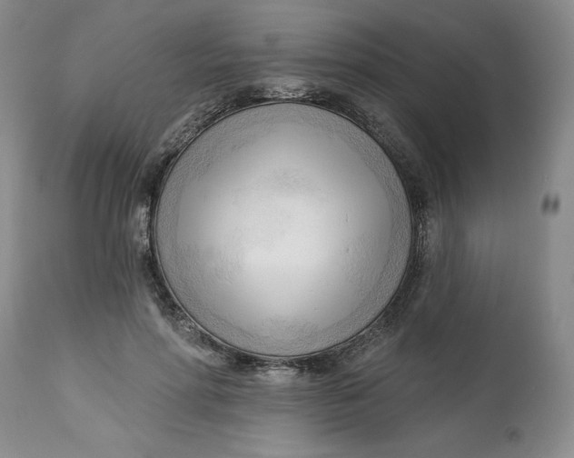 X0000113130598200909251241