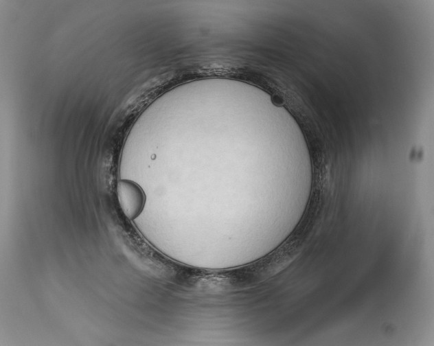 X0000113130599200909251241