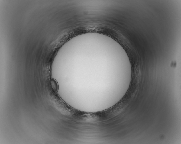 X0000113130601200909251241