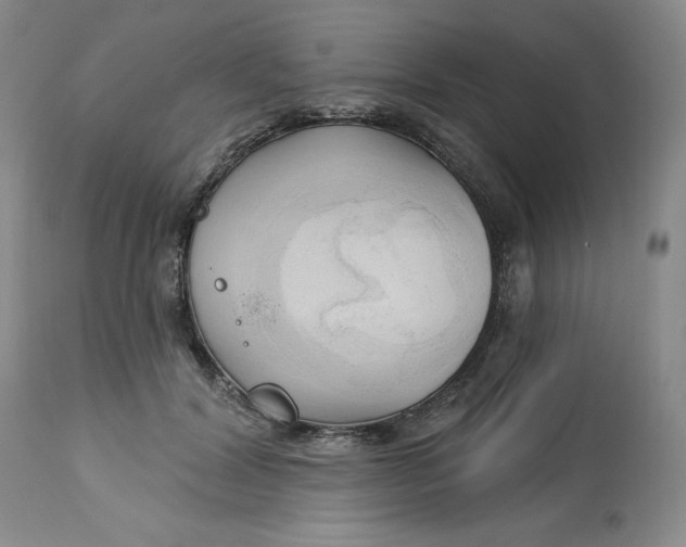 X0000113130604200909251241