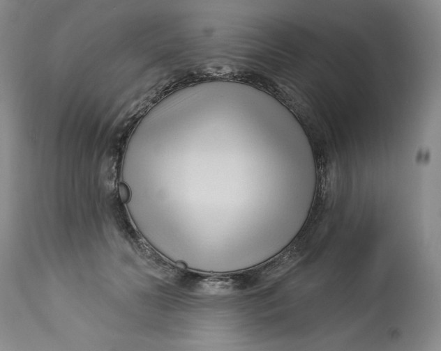 X0000113130606200909251241