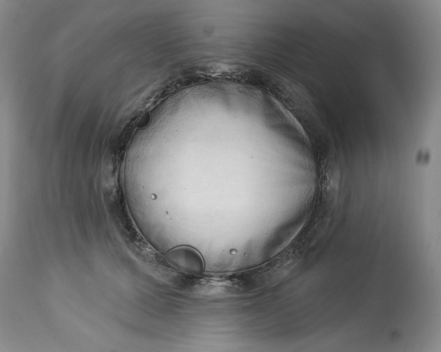 X0000113130607200909251241