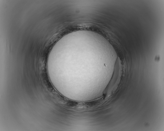 X0000113130608200909251241