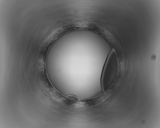 X0000113130609200909251241