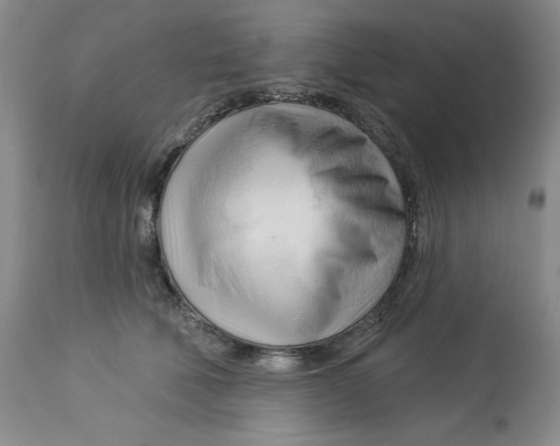 X0000113130610200909251241