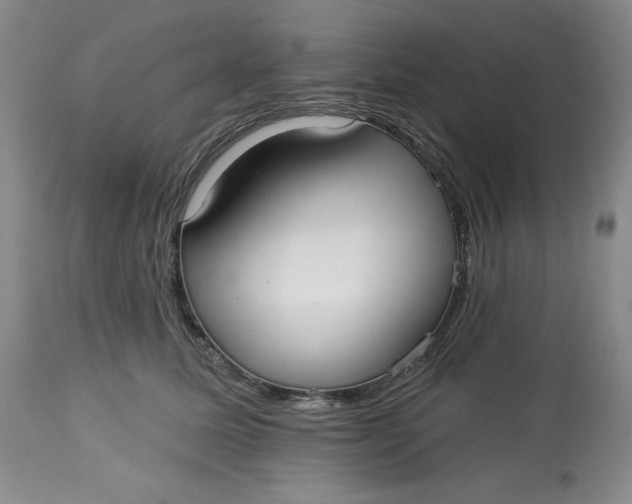 X0000113130611200909251241