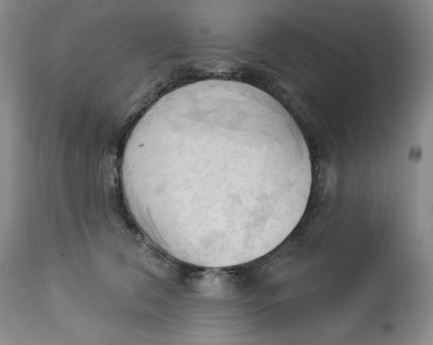 X0000113130612200909251241