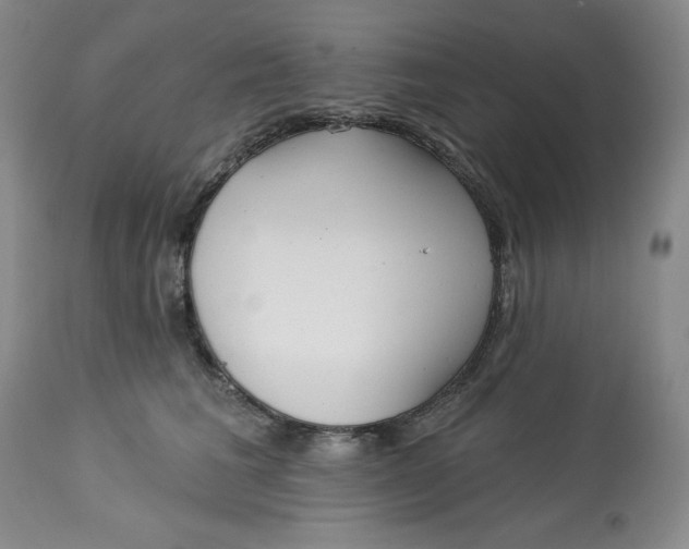 X0000113130613200909251241