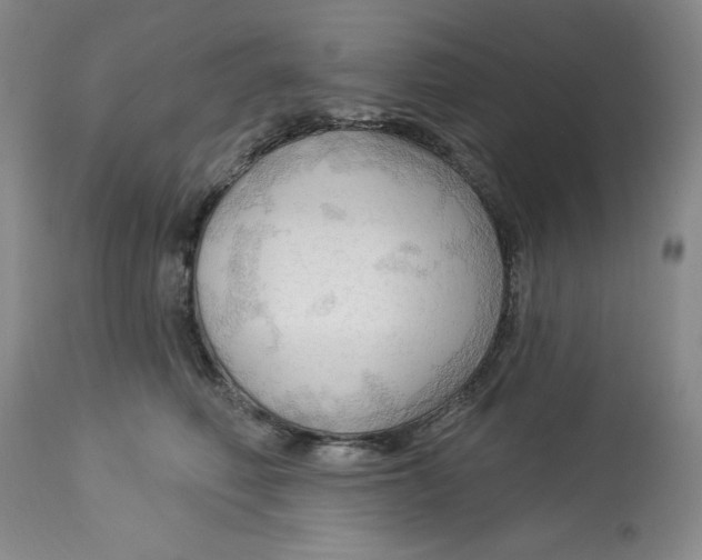 X0000113130614200909251241