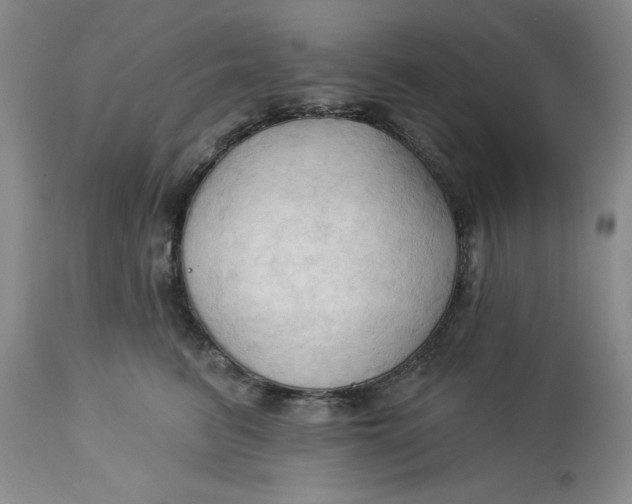 X0000113130615200909251241