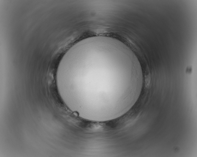 X0000113130618200909251241