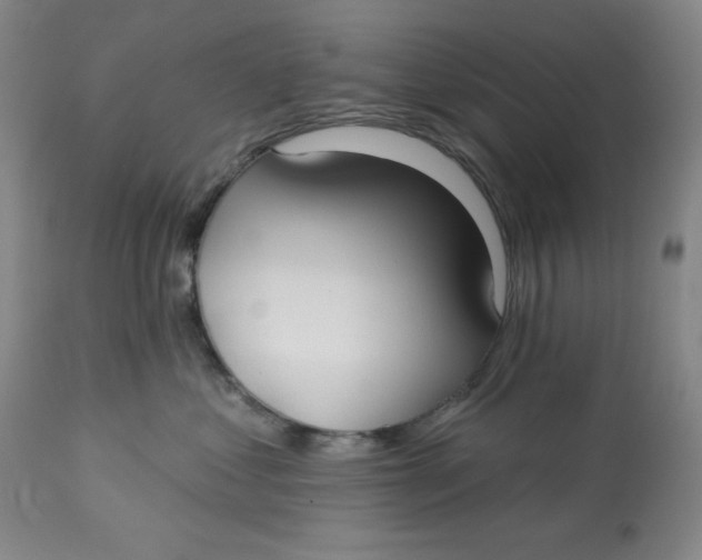 X0000113130621200909251241