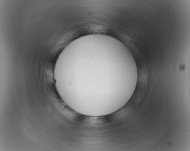 X0000113130622200909251241