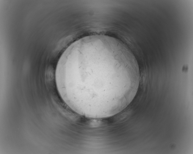 X0000113130623200909251241