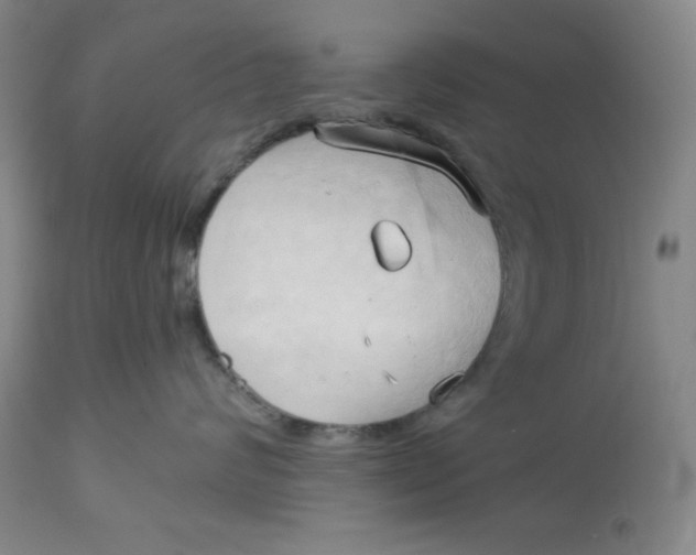 X0000113130624200909251241