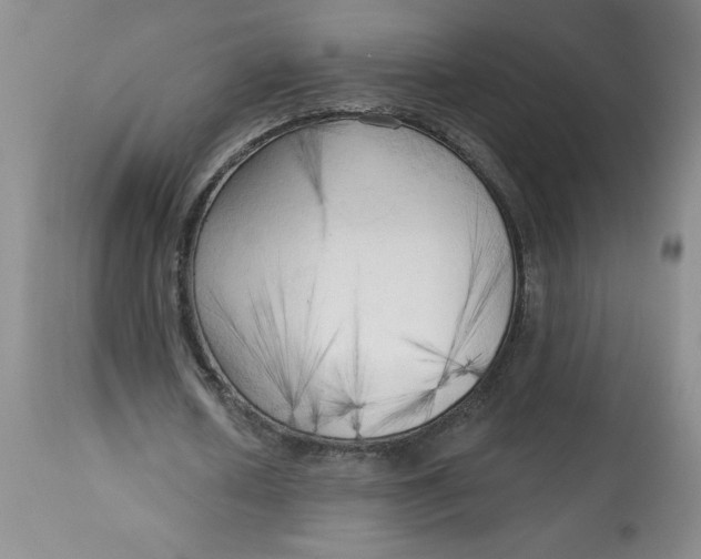 X0000113130626200909251240