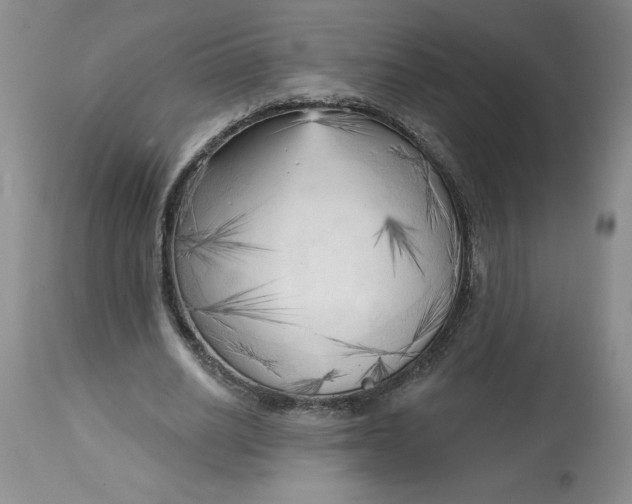 X0000113130630200909251240