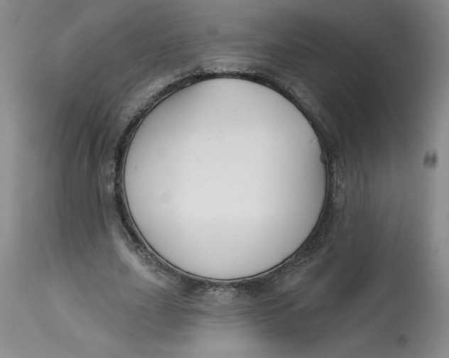 X0000113130631200909251240