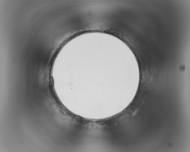 X0000113130632200909251240