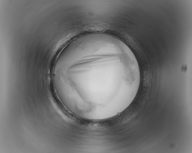 X0000113130634200909251240