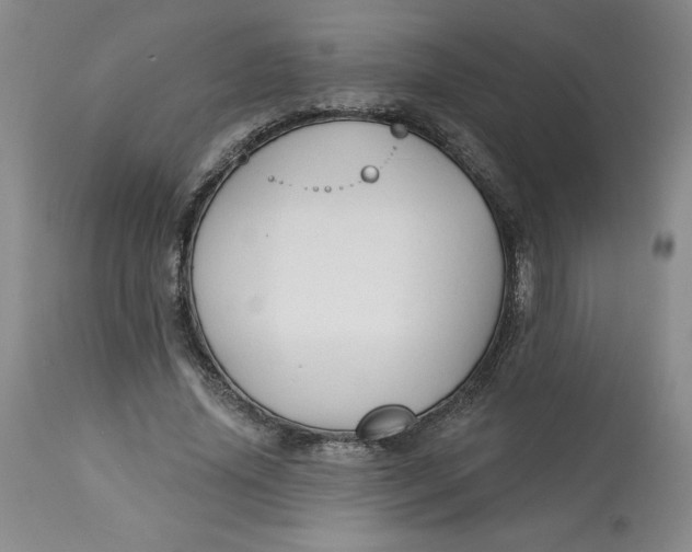 X0000113130636200909251240