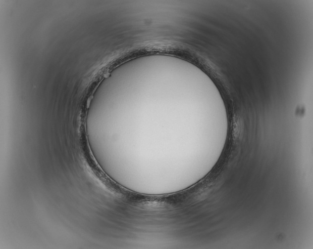 X0000113130637200909251240