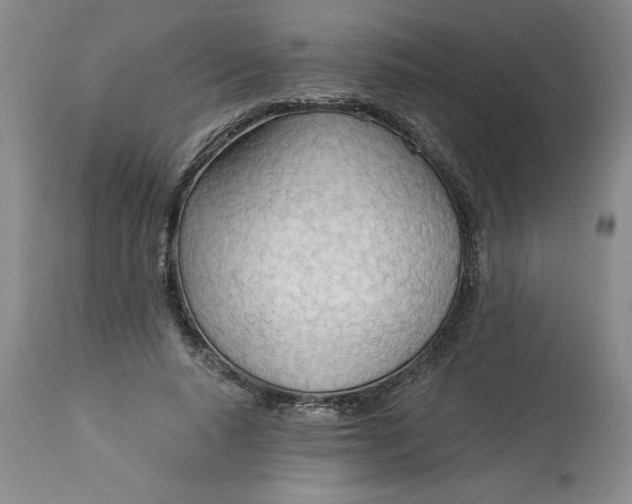 X0000113130640200909251241