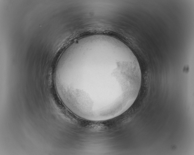 X0000113130642200909251241