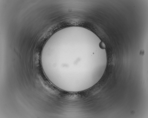 X0000113130646200909251241