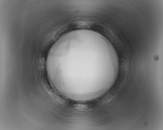 X0000113130649200909251241