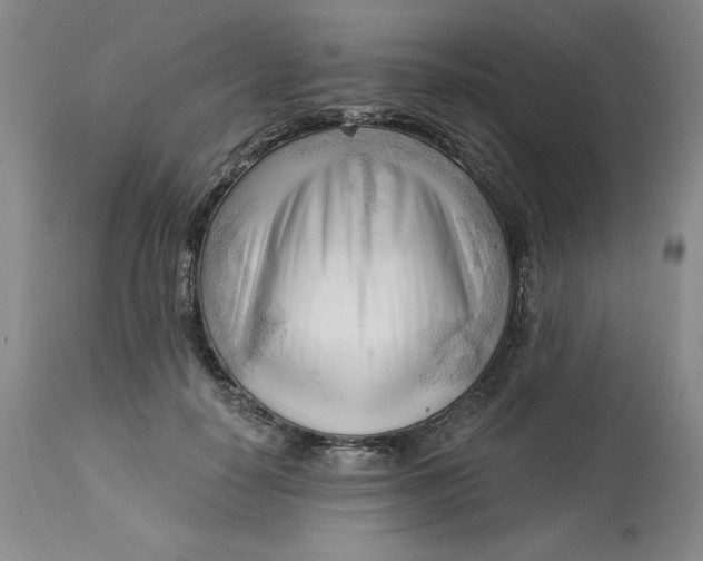 X0000113130650200909251241