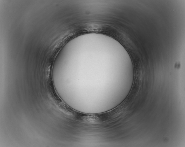 X0000113130652200909251241