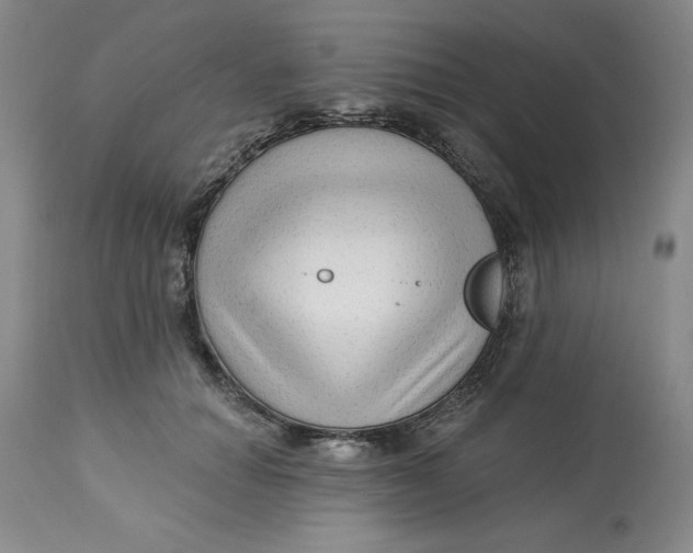 X0000113130654200909251241