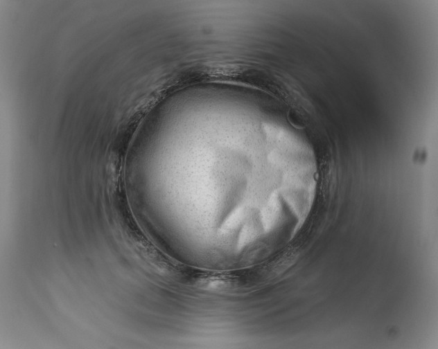 X0000113130655200909251241