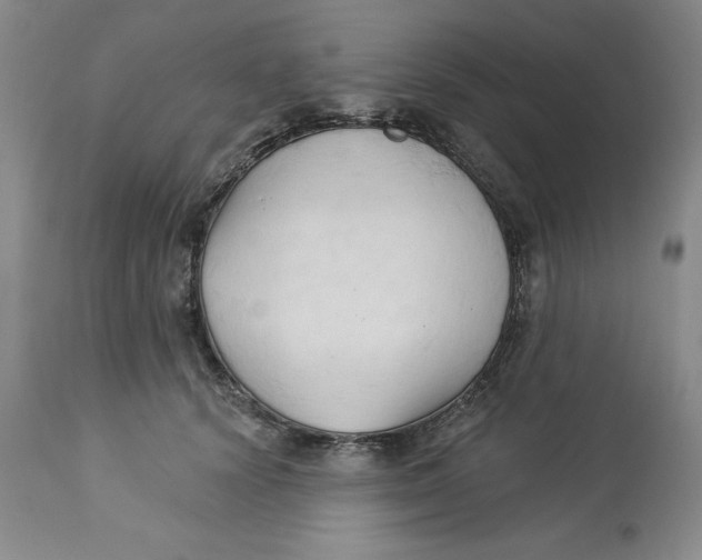 X0000113130656200909251241