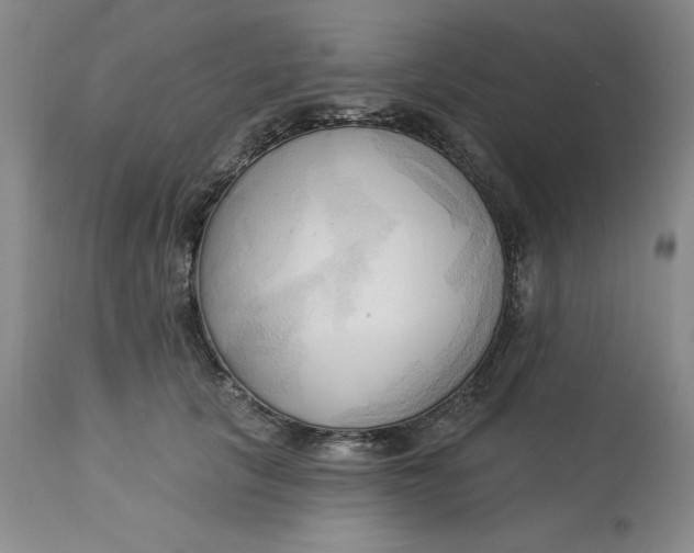 X0000113130657200909251241