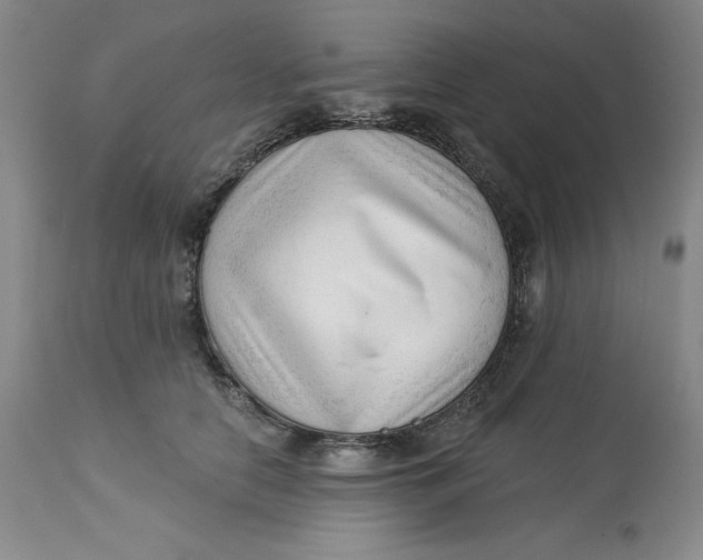 X0000113130658200909251241