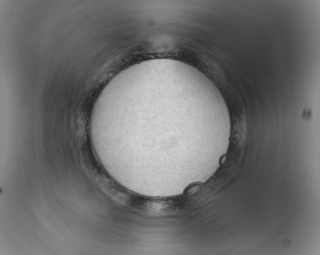 X0000113130662200909251241